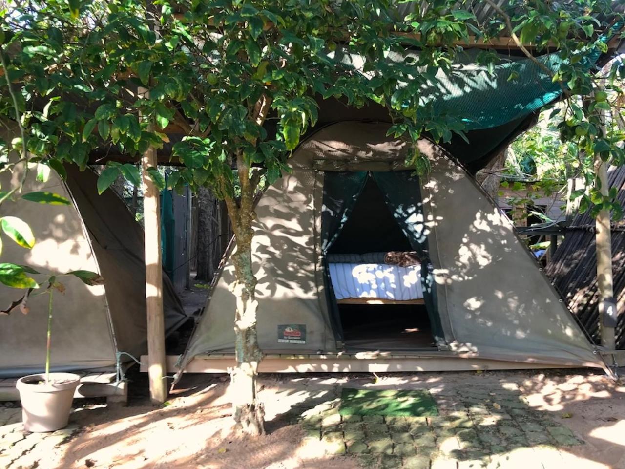 The Riverdeck Accommodation And Backpackers Knysna Exteriér fotografie