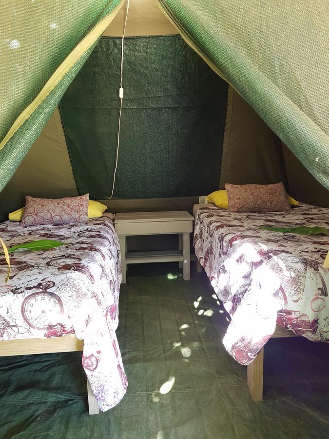 The Riverdeck Accommodation And Backpackers Knysna Exteriér fotografie